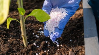 Avances hacia una agricultura sostenible: El futuro de los bioplásticos y fertilizantes biodegradables bioplásticos biodegradables en agricultura..png